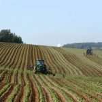 Выращивание картофеля по голландской технологии: подготовка почвы и посадочного материала, схема посадки и уход