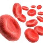 Норма гемоглобина в крови у детей и взрослых