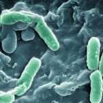 Бактерии в моче у ребенка: симптомы, причины, профилактика