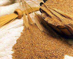 пророщенная пшеница рецепты