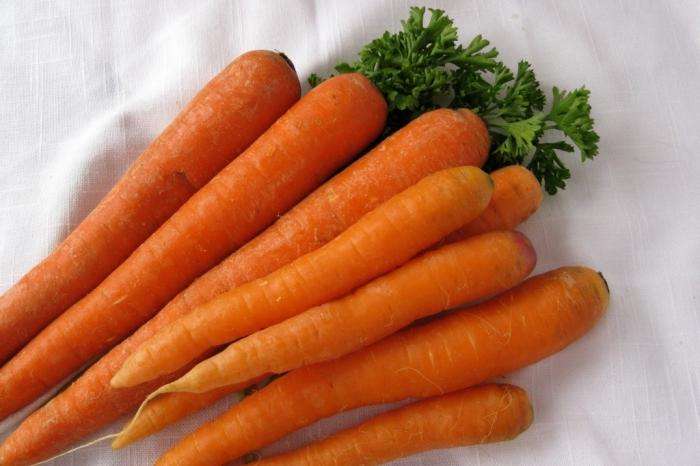 когда сеять морковь