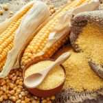 Кукурузное масло: польза и вред, применение, отзывы