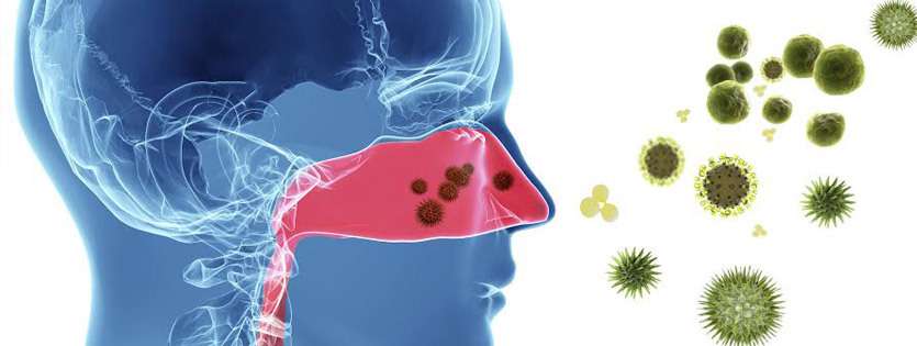 Действие аллергенов на слизистую носа