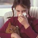 Симптом аллергии на кошек и как от него избавиться