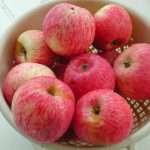 Боровинка - яблоня с осенними плодами