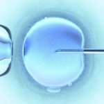 Как улучшить качество яйцеклетки перед ЭКО: эффективные способы и рекомендации