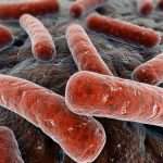 Причины возникновения и основные признаки туберкулеза легких у взрослых