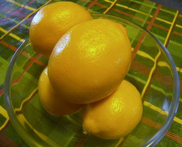 лимон выращивание
