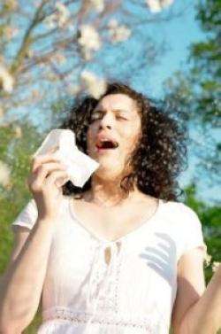 Симптомы аллергии на тополиный пух