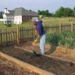 Как вырастить помидоры в открытом грунте: сроки посадки, полив, подкормка, как пасынковать и как правильно подвязывать