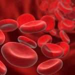 Чистка крови как средство защиты от различных заболеваний