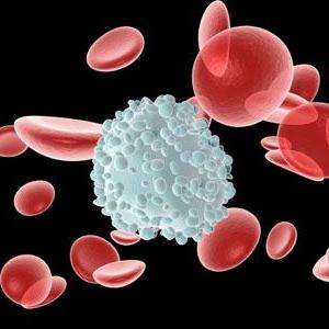 лейкоциты в крови понижены причины