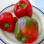 Полезные свойства и калорийность болгарского перца