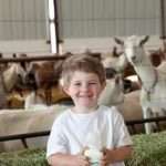 Вредные и полезные свойства козьего молока для детей