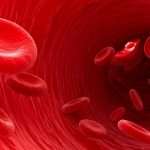 Повышенные эритроциты в крови: что это значит, причины