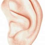 Сера в ушах: возможные причины и лечение