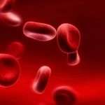 Что поднимает гемоглобин лучше всего?