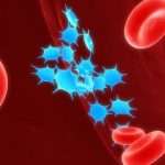 Низкие тромбоциты в крови: причины и способы повышения