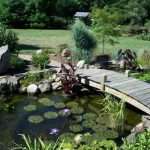 Как создать декоративный водоем в саду своими руками
