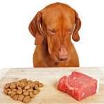 Можно ли давать собаке сырое мясо: советы ветеринара
