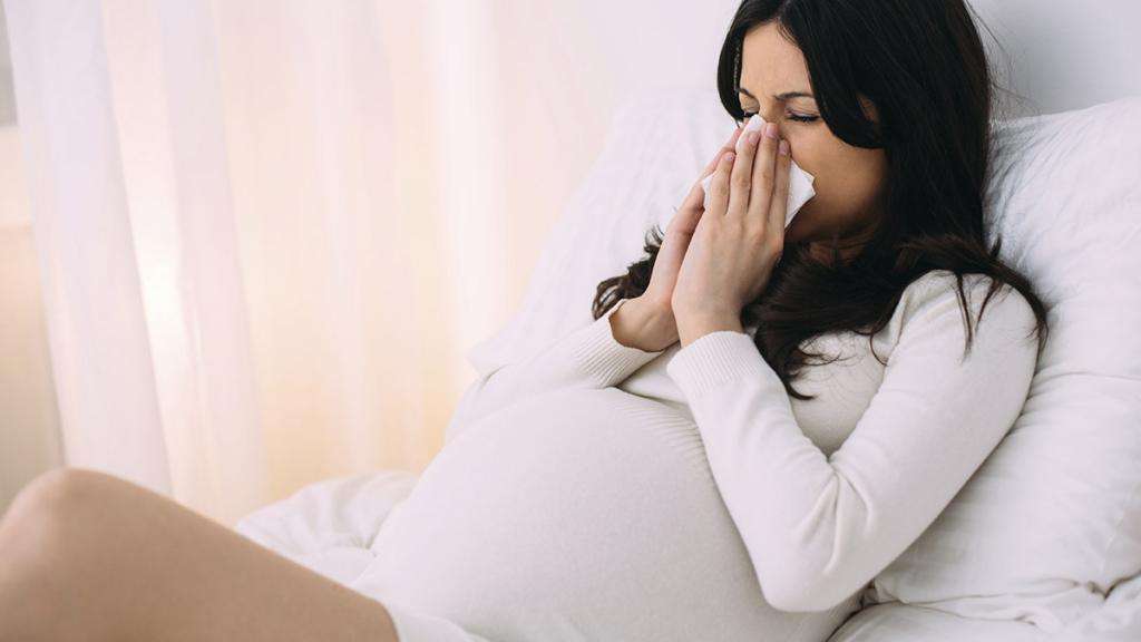 эвкалипт при беременности