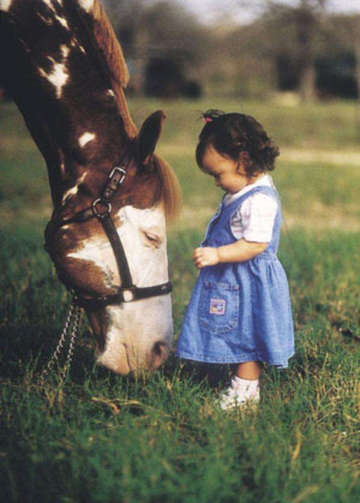 девочка и лошадка