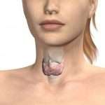 Щитовидная железа увеличена: причины и степени