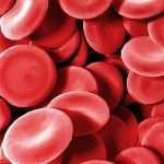 Что повышает гемоглобин в крови: народные и медицинские средства