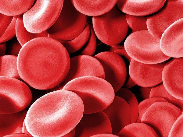 что повышает гемоглобин в крови