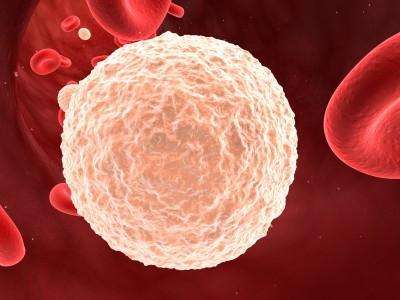 лейкоциты повышены у ребенка в крови