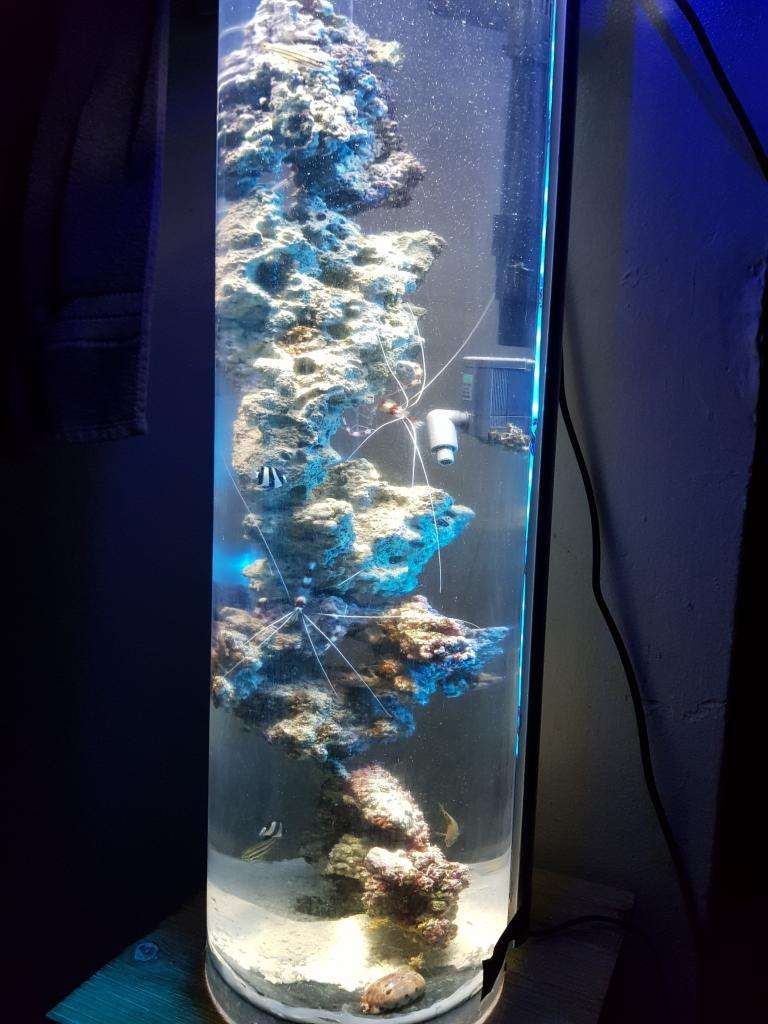Цилиндрический аквариум