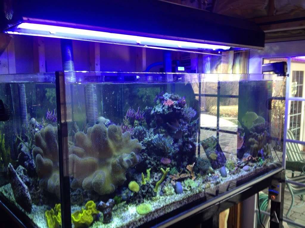 Обычный стеклянный аквариум