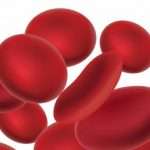Чем и как быстро повысить гемоглобин в домашних условиях