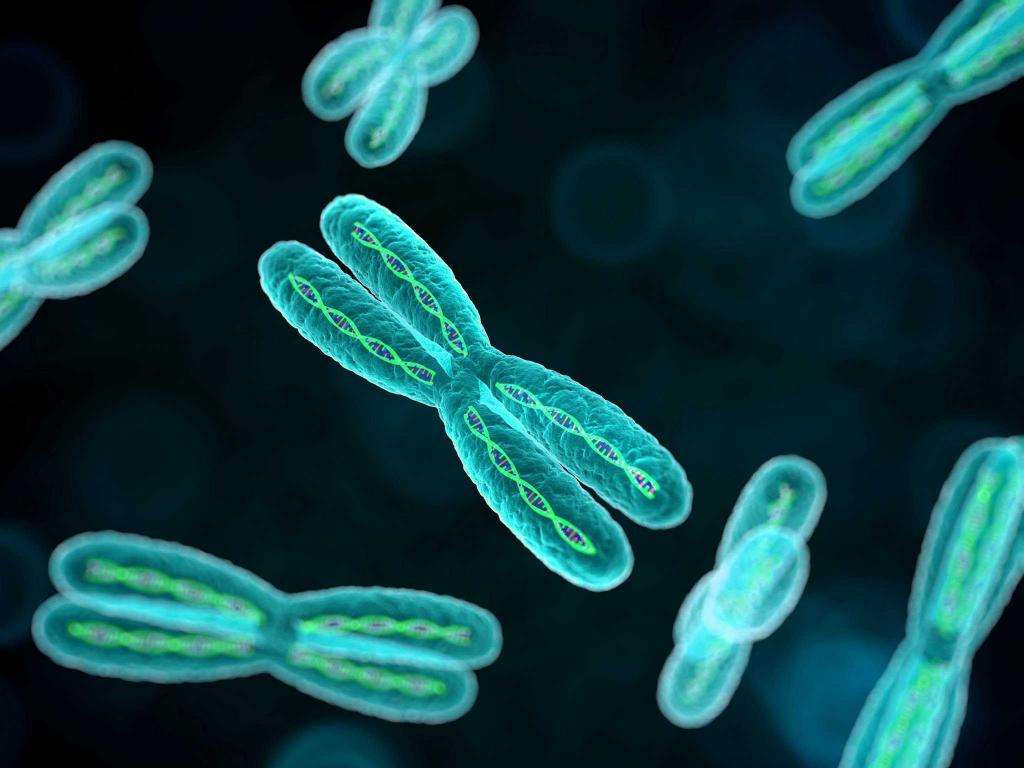Хромосомные аномалии - причина БХБ