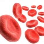 Как повысить гемоглобин в крови
