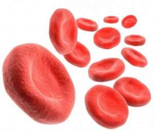 Как повысить гемоглобин в крови