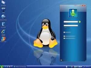 Как узнать версию Linux, основные команды