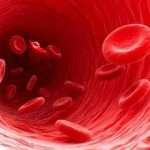 Как взаимосвязана группа крови детей и родителей? Правила передачи по наследству