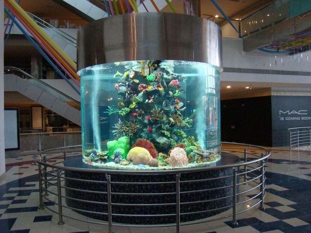 Необычный аквариум больших размеров
