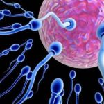 Как улучшить сперму и увеличить шансы на беременность