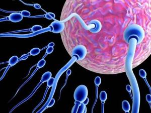 как улучшить сперму